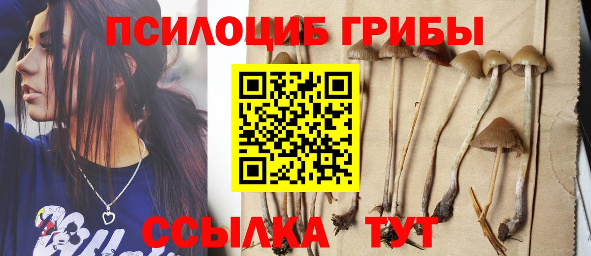 Галлюциногенные грибы MAGIC MUSHROOMS Серпухов
