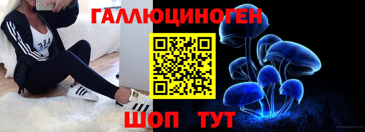 Псилоцибиновые грибы GOLDEN TEACHER  где продают   Серпухов  Вход с VPN 